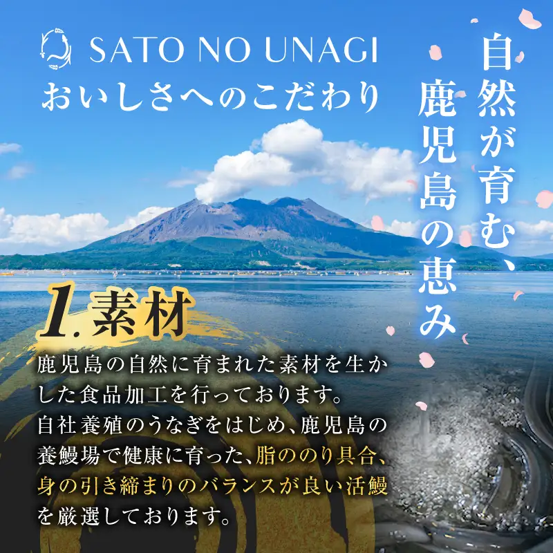 鹿児島県産うなぎ蒲焼 115g×5尾 575g以上 K379-001_02 鰻 ウナギ 惣菜 贅沢