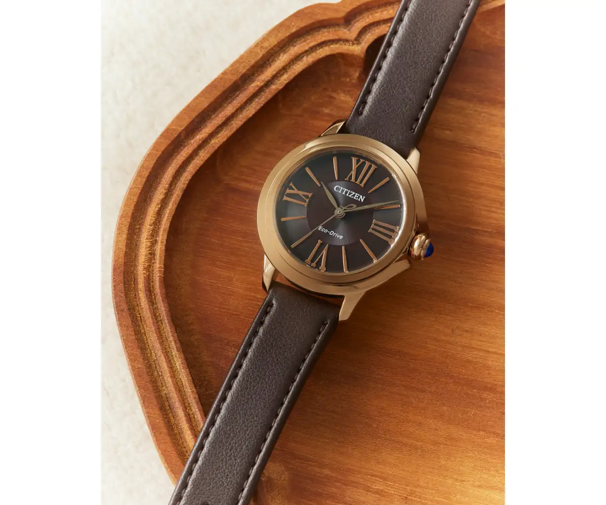 【CITIZEN】 シチズンL EM1163-09X