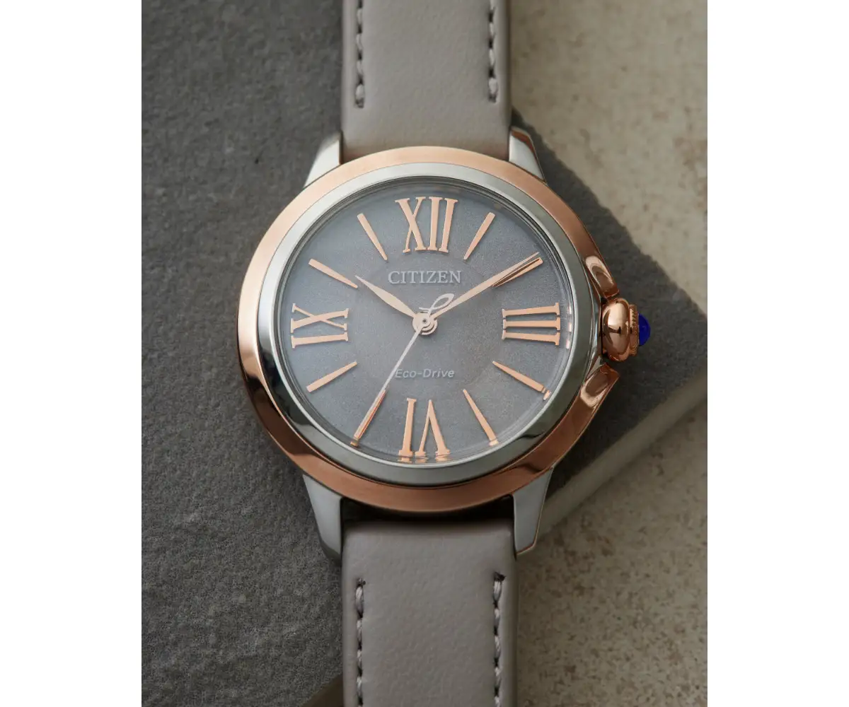 【CITIZEN】 シチズンL EM1166-01Z