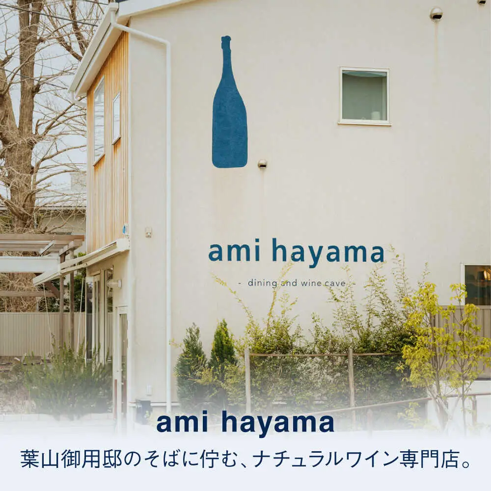 ナチュラルワインとおつまみを楽しむ利用券 3，000円分【ami hayama】[ASBI003]