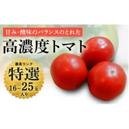 【先行受付2027年発送】美味しんぼに登場　トマト「桃太郎」大箱 16玉～25玉　特選　糖度9度以上【配送不可地域：離島・沖縄県】【1604229】
