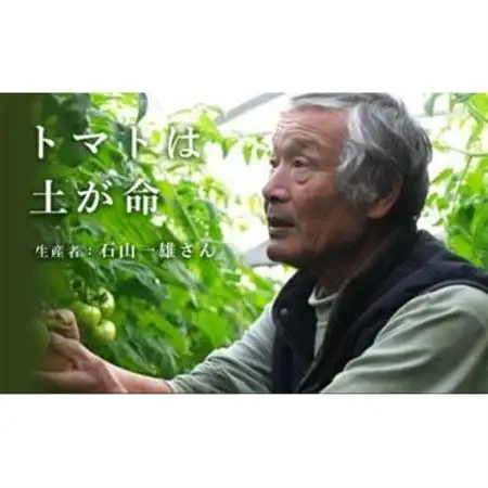 【先行受付2027年発送】美味しんぼに登場　トマト「桃太郎」大箱 12玉～20玉　特選　糖度9度以上【配送不可地域：離島・沖縄県】【1604237】