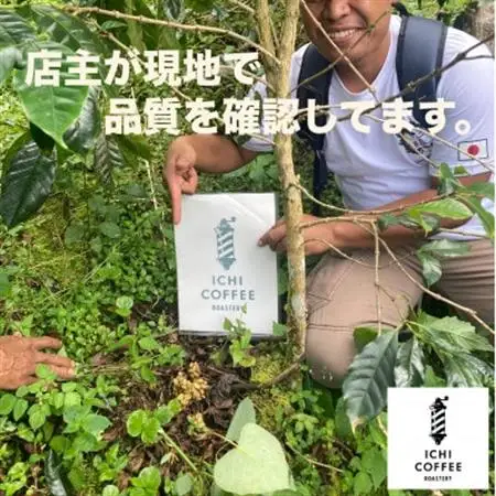ジャコウネコ由来の希少コーヒー 野生コピルアック珈琲・掛川自家焙煎で丁寧に仕上げた贈答品 100g【配送不可地域：離島・沖縄県】【1651759】