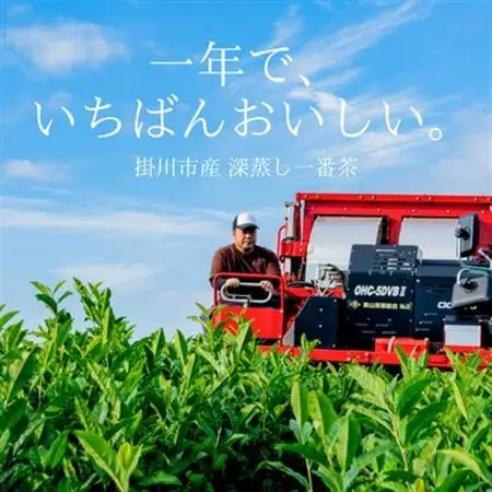 【計100包】 深蒸し一番茶使用 掛川産緑茶 ティーバッグ (3g×20包)×5袋【配送不可地域：離島・沖縄県】【1716178】