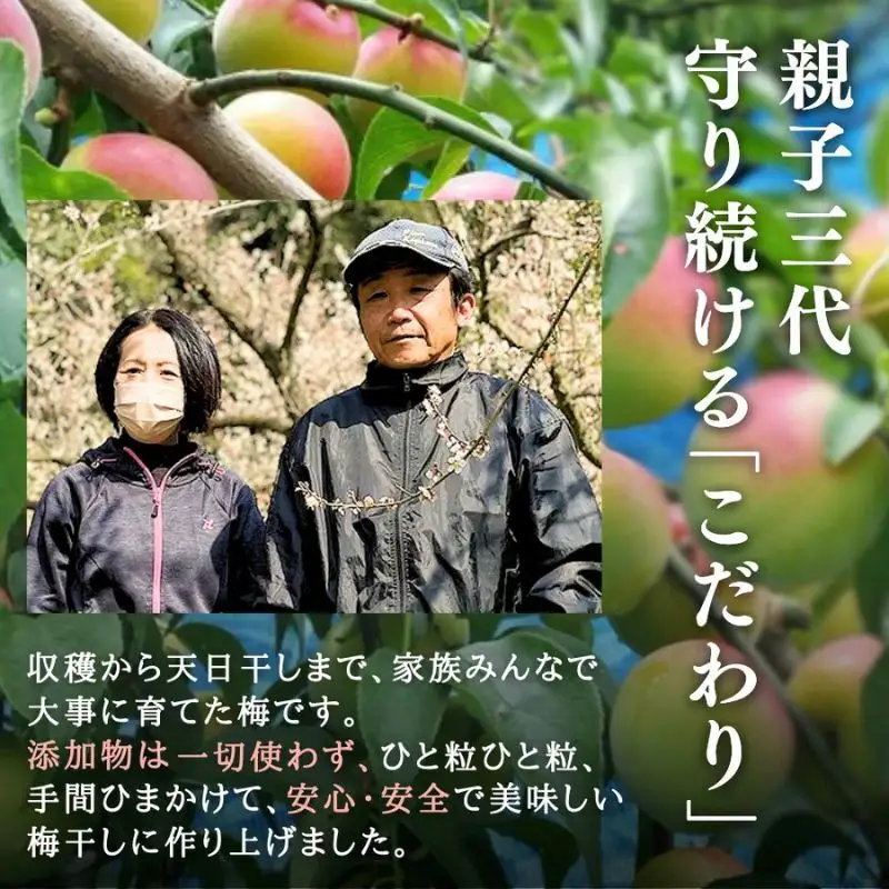 梅干し【3種セット】【塩分】うす塩 約7％  はちみつ梅 約7％  昔ながら 約18％  紀州南高梅 梅干3種詰合せ 850g   【塩分】うす塩 約7％  はちみつ梅 約7％  昔ながら 約18％ 【sakachu006】