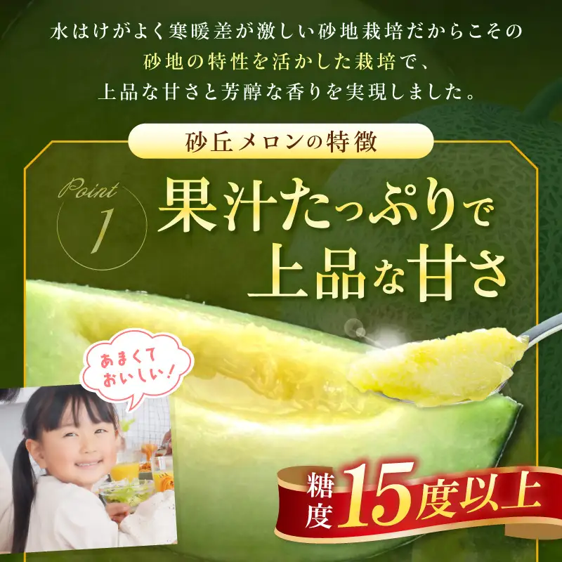 【先行予約】京丹後・俵野産 砂丘メロン 2L以上 1玉（2027年7月下旬～発送）