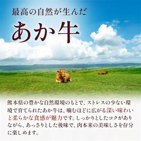 熊本県産 GI認証取得 くまもとあか牛 切り落とし 合計800g(美里町)【配送不可地域：離島】【1710708】