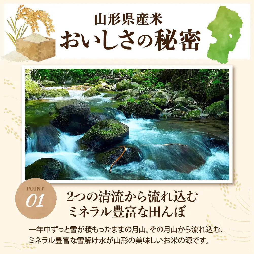 【令和8年産米】2027年6月中旬発送 雪若丸20kg（5kg×4袋） 山形県産 【米comeかほく協同組合】 ka024-053d-r8-062