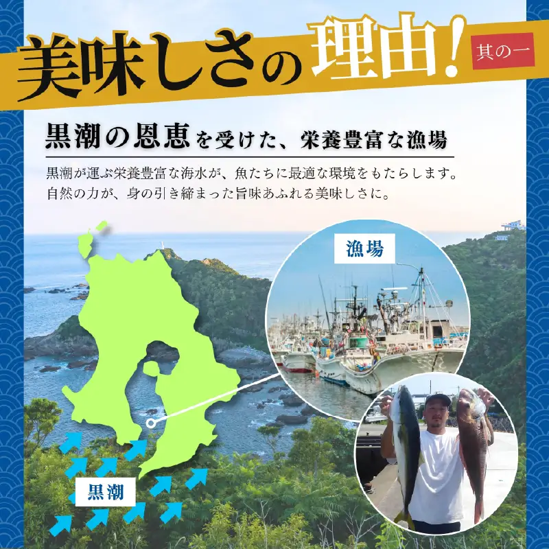 鹿屋市産 かんぱち 胡麻醤油漬け 海鮮 丼 セット 8食分 KN097-005-03 カンパチ 魚 冷凍
