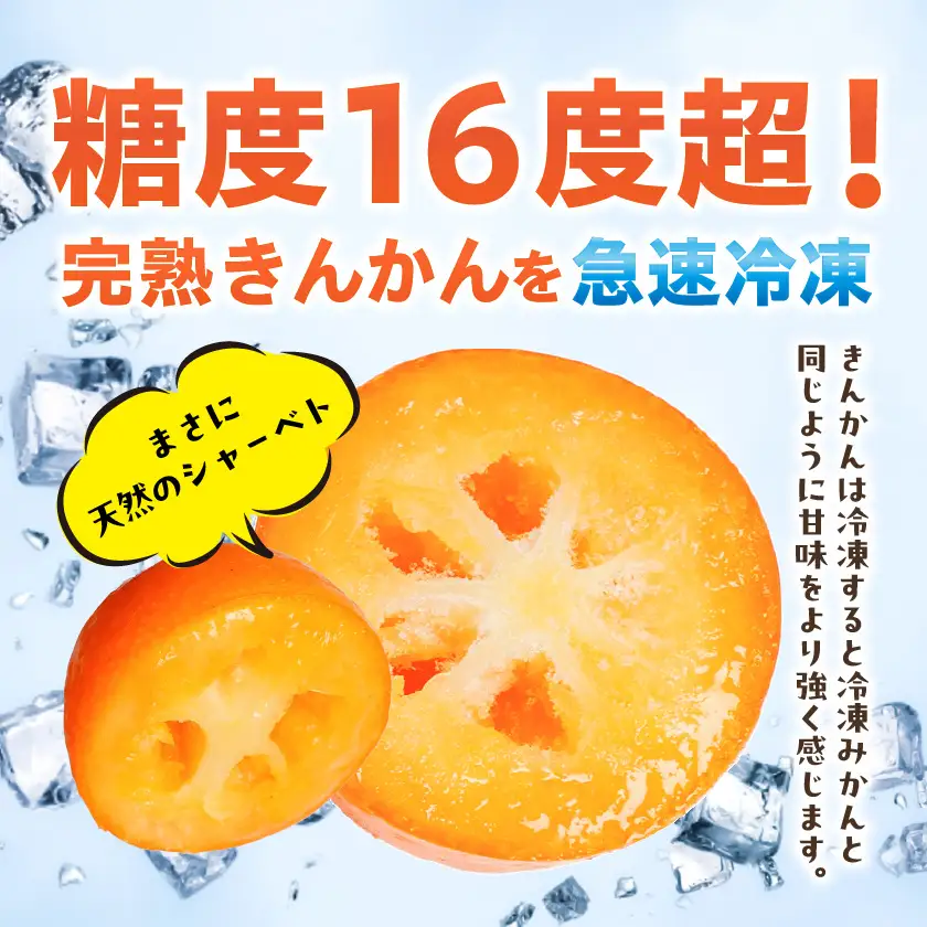まるかじり氷結きんかん＜種なしハーフカット＞3パック〔11-J7-004-3〕_(都城市) 内山金柑園 完熟きんかん 氷結きんかん 急速冷凍 糖度16％以上 シャーベット