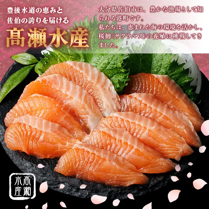 さいき 桜 サーモン フィーレ (1尾分・約500g) 期間限定 冷凍 サクラマス 刺身 ムニエル お味噌汁 お鍋 国産【GP013】【高瀬水産】
