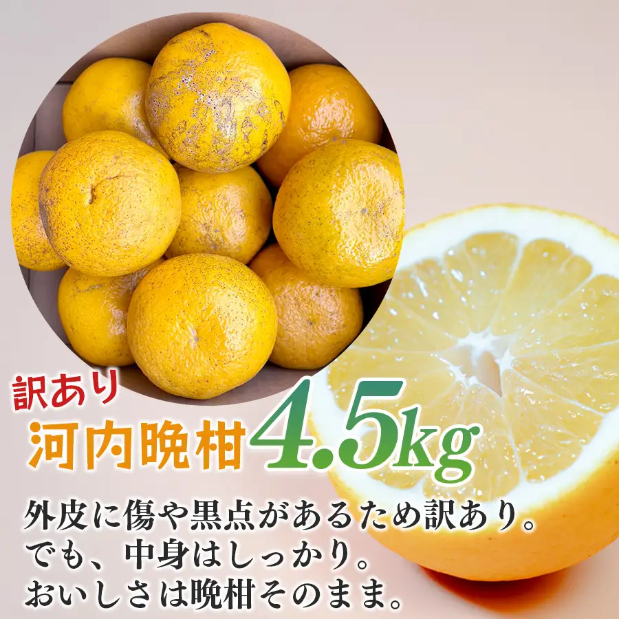 【訳あり】 河内晩柑 4.5kg （M-5L） ばんかん 晩柑 夏文旦 家庭用 みかん 柑橘