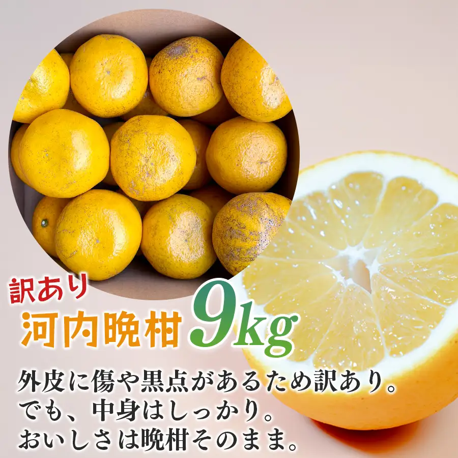 【訳あり】 河内晩柑 9kg (M-5L) 大容量 ばんかん 晩柑 夏文旦 家庭用 みかん 柑橘