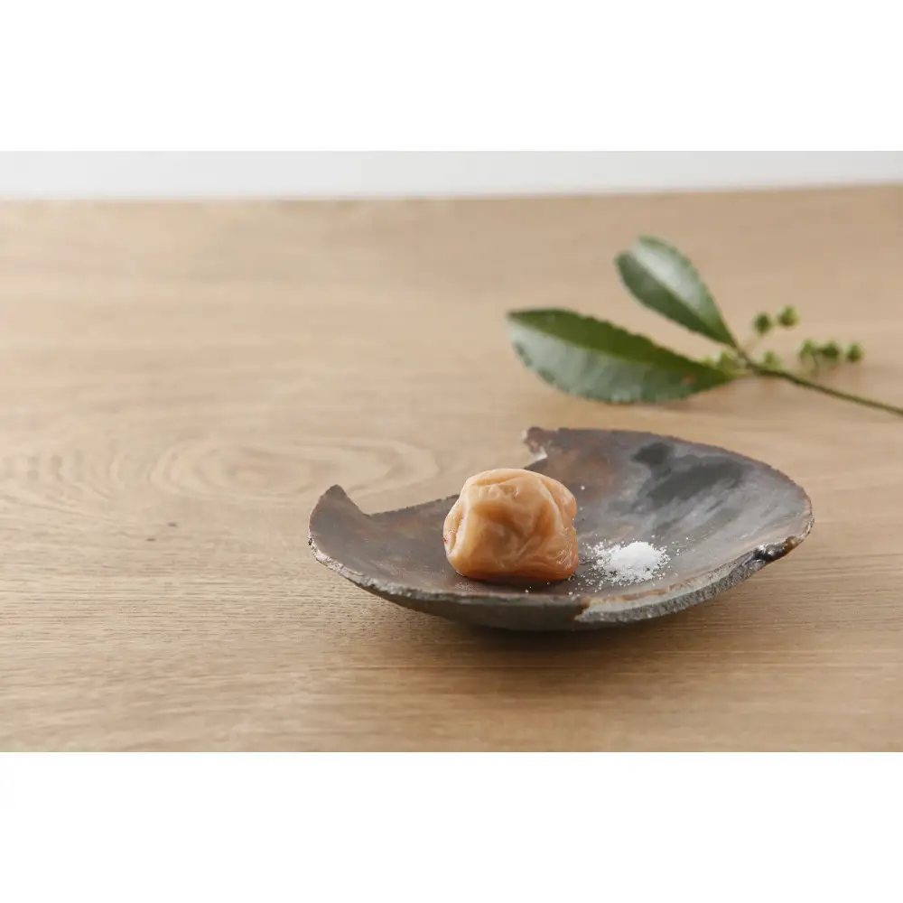 白干し梅干し 1kg ［2L～3L混合］ご家庭用 C級品 紀州南高梅 和歌山産 紀伊国屋文左衛門本舗 ［TC31］