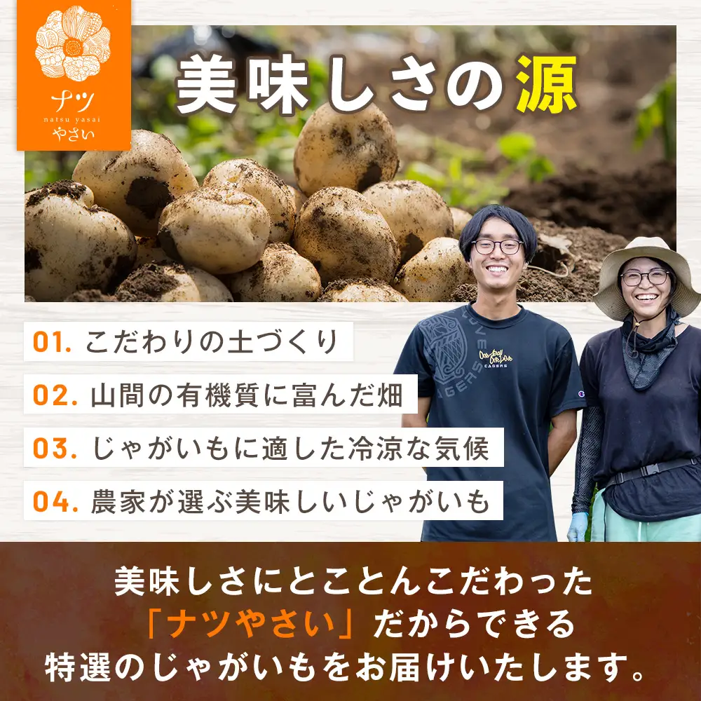 【先行予約】秋の旬 じゃがいも２種食べ比べ 10kg ピンクの八百屋〜ナツやさい〜  | 北海道津別町