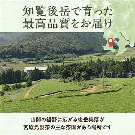 心潤す光印の霧若緑 90g×3【1719064】
