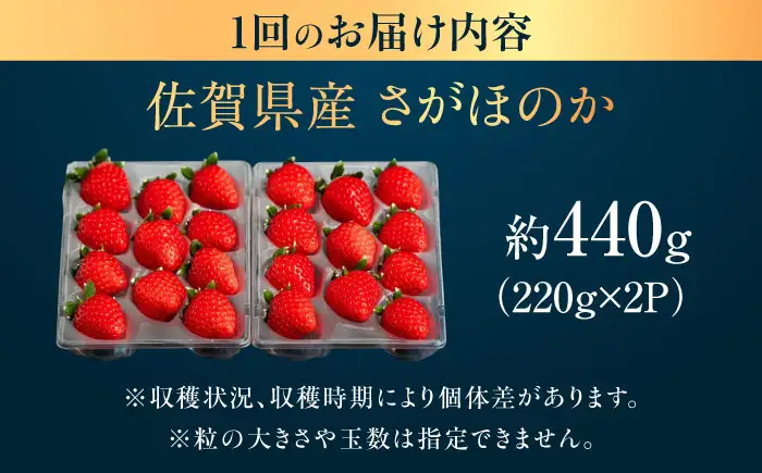 【2回定期便】佐賀県産イチゴ「さがほのか」約440g（220g×2パック） /有限会社しげやす[UEQ007]