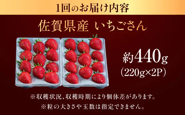 【2回定期便】佐賀県産イチゴ「いちごさん」約440g（220g×2パック） /有限会社しげやす[UEQ008]