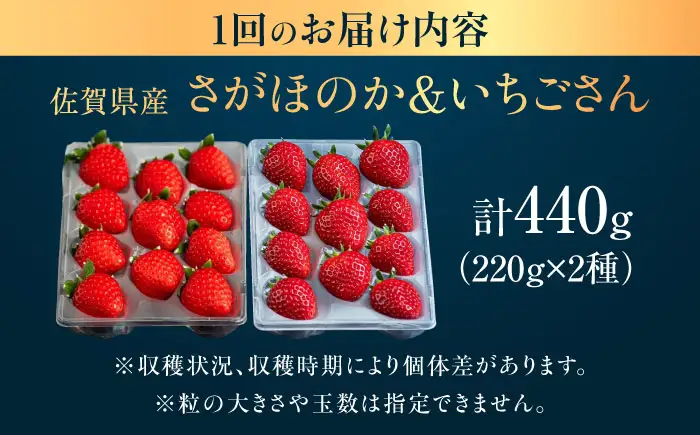 【2回定期便】赤いちご食べ比べ定期便（毎月 約440g） /有限会社しげやす[UEQ009]