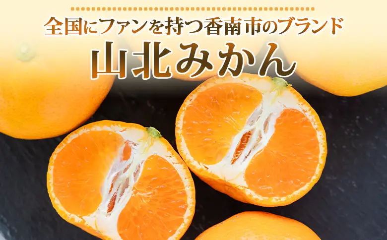 【３回定期便】山北温室みかん 2.5kg Wku-0062