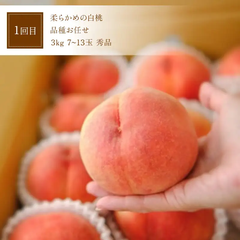 【定期便3回】 桃とりんごがたっぷり便 FSY-2741