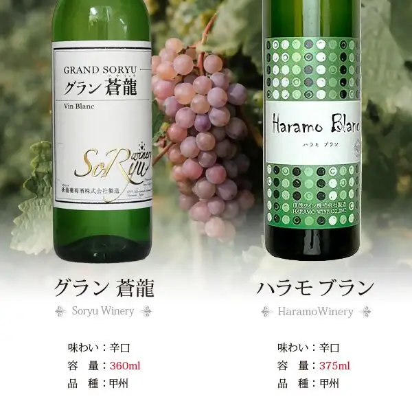 ワイン 飲みきりハーフボトル 白ワイン 5本セット（CKH）B17-770