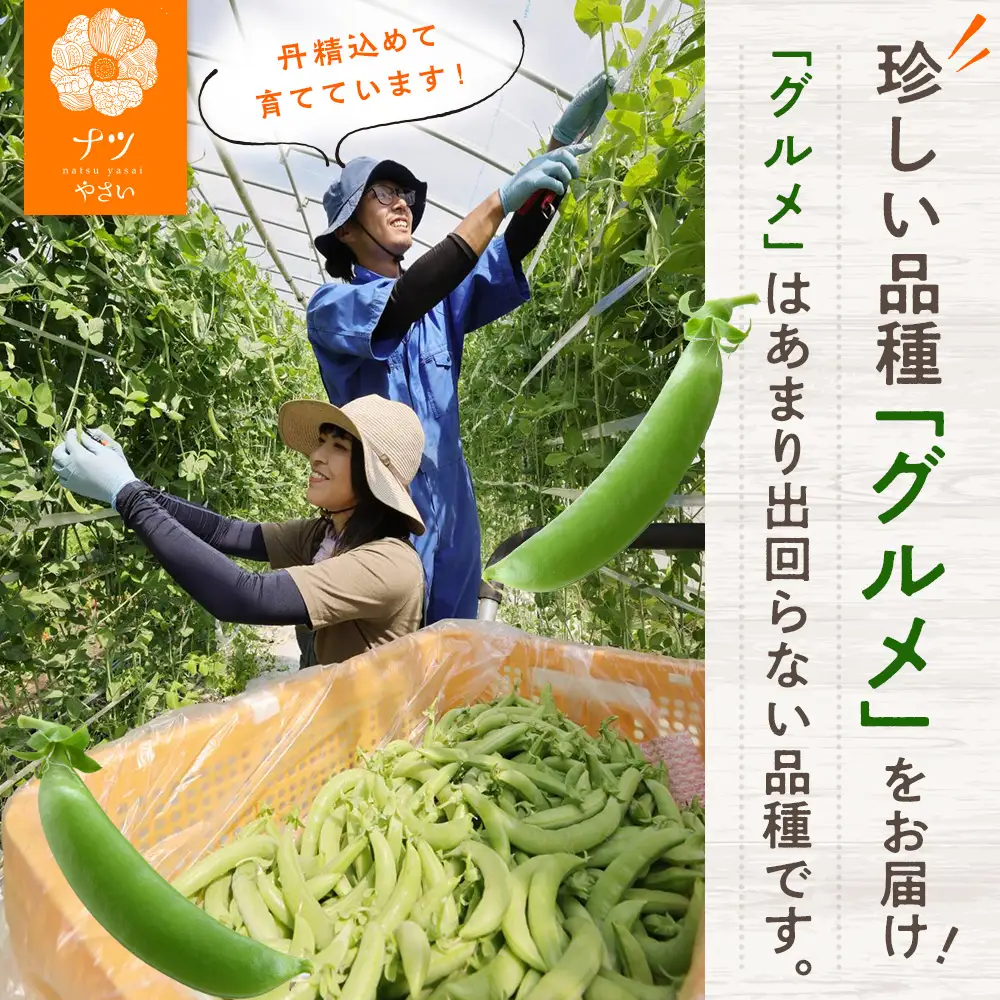 R8年産 スナップえんどう（品種：グルメ） 1kg ピンクの八百屋〜ナツやさい〜 | 北海道津別町