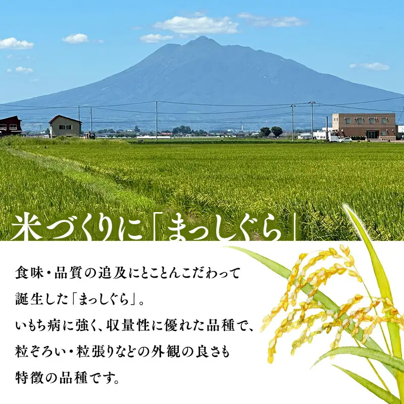 ≪令和8年産 先行予約≫まっしぐら30kg(玄米)［hi-0062-016-1］