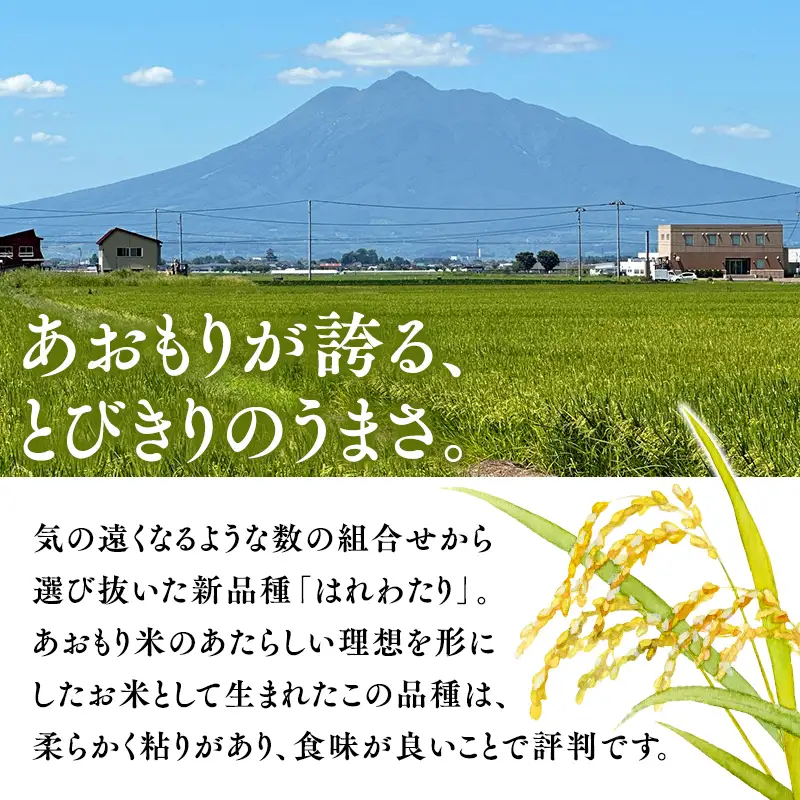 ≪令和8年産 先行予約≫特別栽培米 はれわたり白米20kg［hi-0062-019-11］