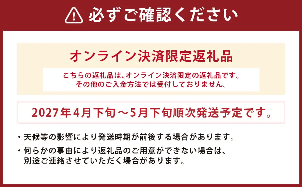 長崎市産びわ500g L玉サイズ（12個入） 贈答用箱入り  【2027年4月下旬-5月下旬発送予定】 びわ ビワ 果物 くだもの フルーツ 国産 国産フルーツ 常温 長崎県 長崎市