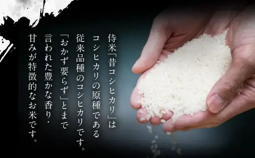 【新米受付・令和8年産米】 【定期便 6ヶ月】新潟県村上市岩船産コシヒカリ  精米6kg（2kg×3個セット）×6ヶ月 1050012N