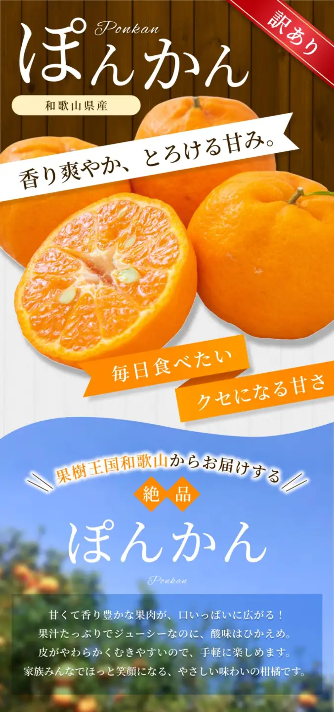 【訳あり・ご家庭用】 森本農園の手選別 ポンカン 約8kg 和歌山県産 サイズ混合 【北海道・沖縄・離島配送不可】【2027年1月上旬～2月上旬頃に順次発送】【BV-mrmt045】