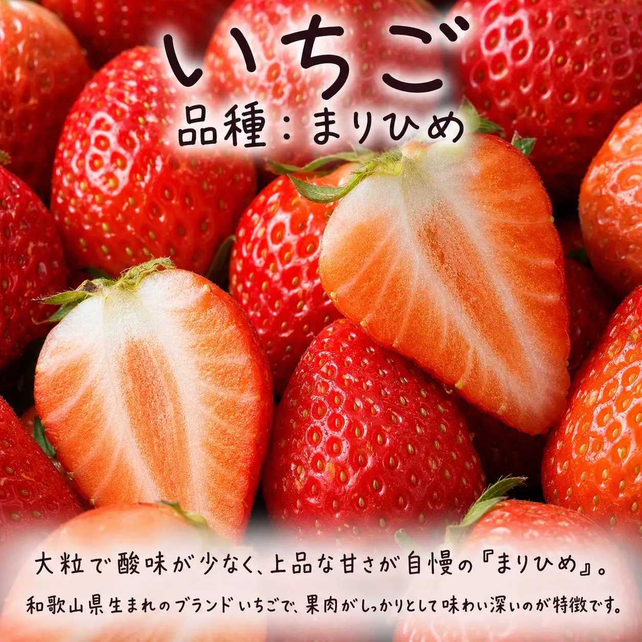 【発送月固定定期便】紀州和歌山産旬のフルーツセット(いちご4P・ポンカン・紀州デコ約5kg)全3回 【tkb450】