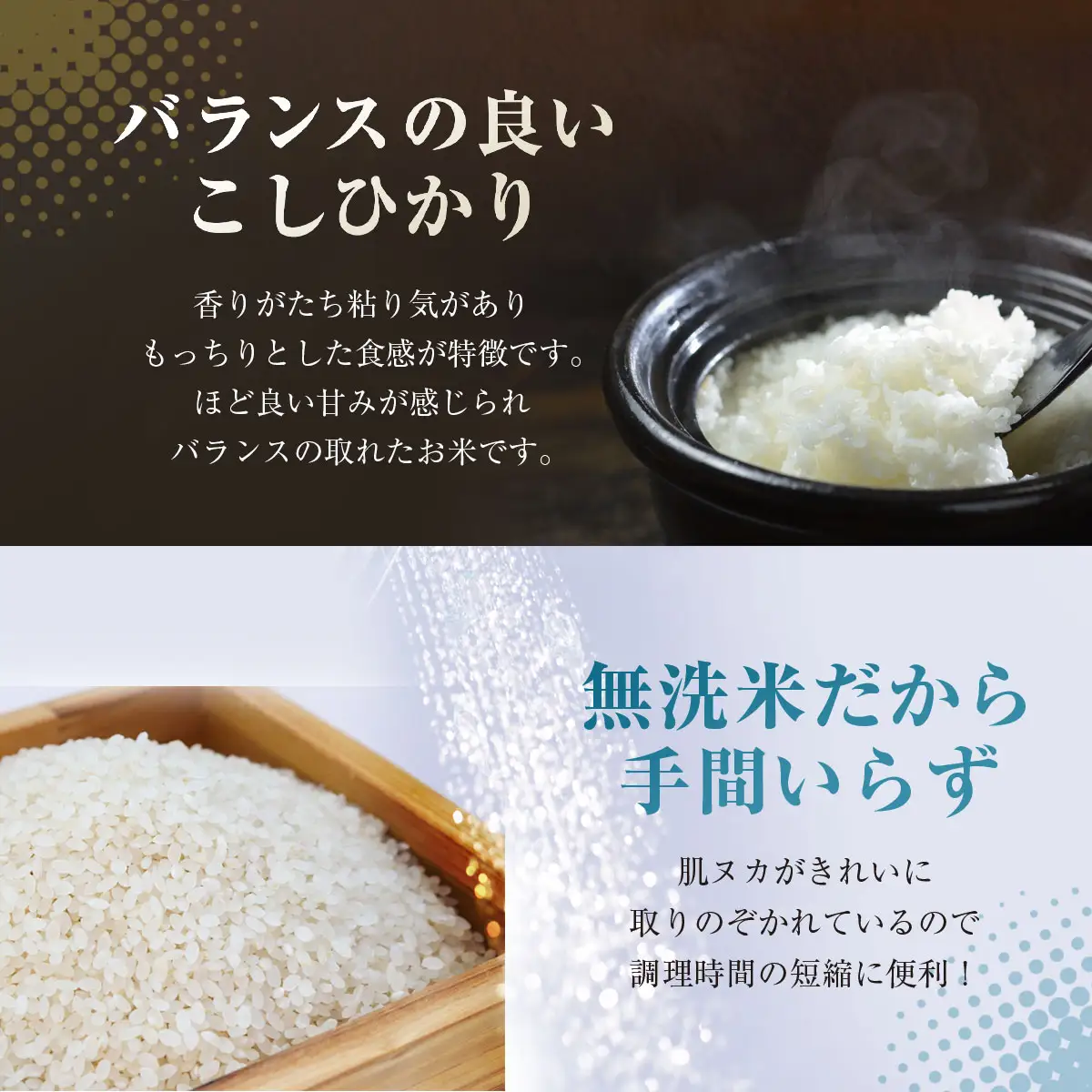【先行予約 9月上旬から発送】＜令和8年産＞≪5ヶ月定期便≫房の黄金米「コシヒカリ」10kg × 5回 計50kg   SMBR039