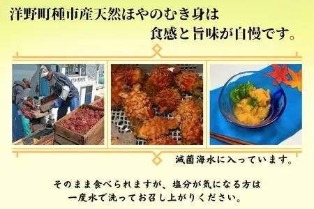 【冷凍】天然ほやむき身 ビン入り２本