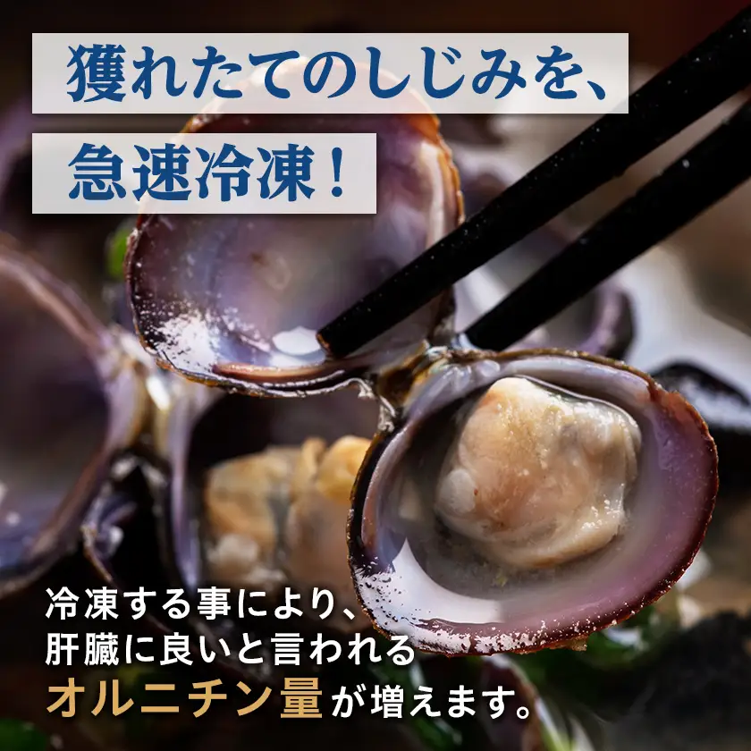 網走湖産しじみ貝小分け済み1kg (125g×2)4袋【配送不可地域：離島】【1682671】