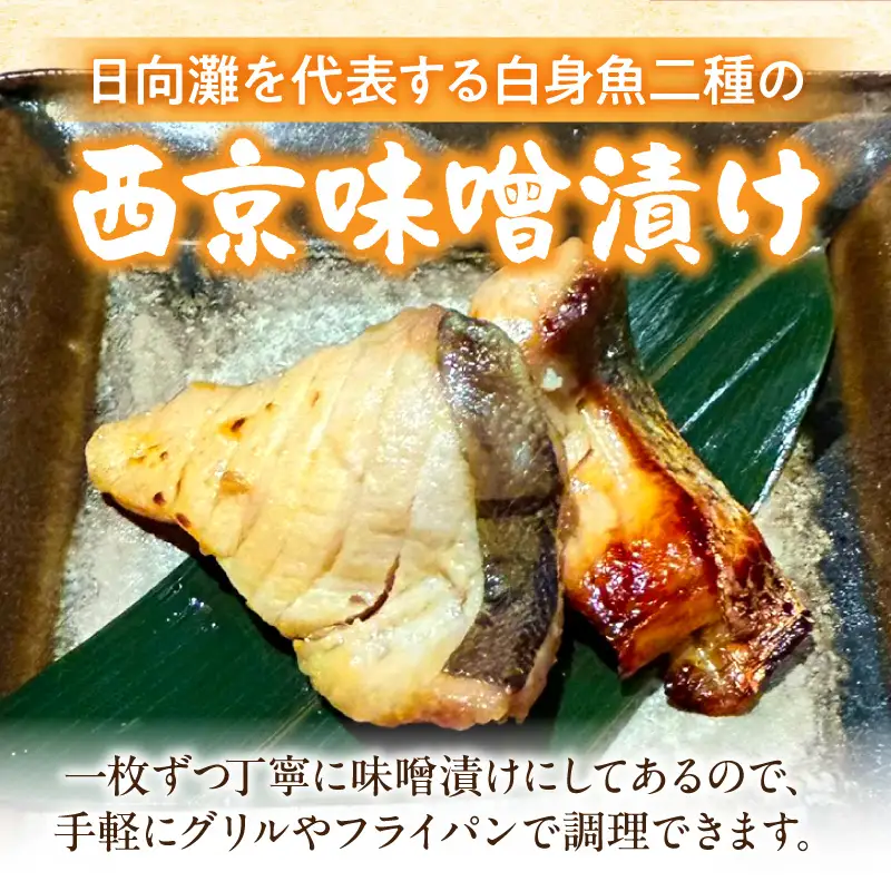 「小料理ひゅう」日向灘獲れ真鯛とニベの西京漬け