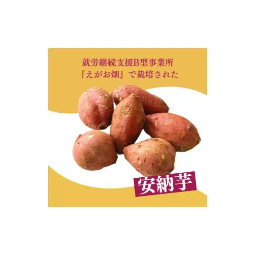 『えがお畑』で採れた安納芋 2.5kg