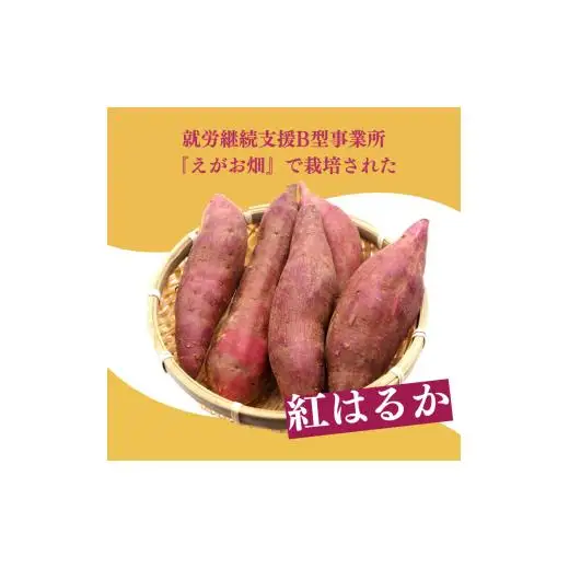 『えがお畑』で採れた紅はるか 5kg