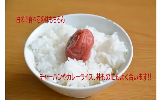 【新米受付・令和8年産米】【6ヶ月定期便】新潟県村上市産　ゆきん子舞 白米 5kg×6ヶ月 1039057N