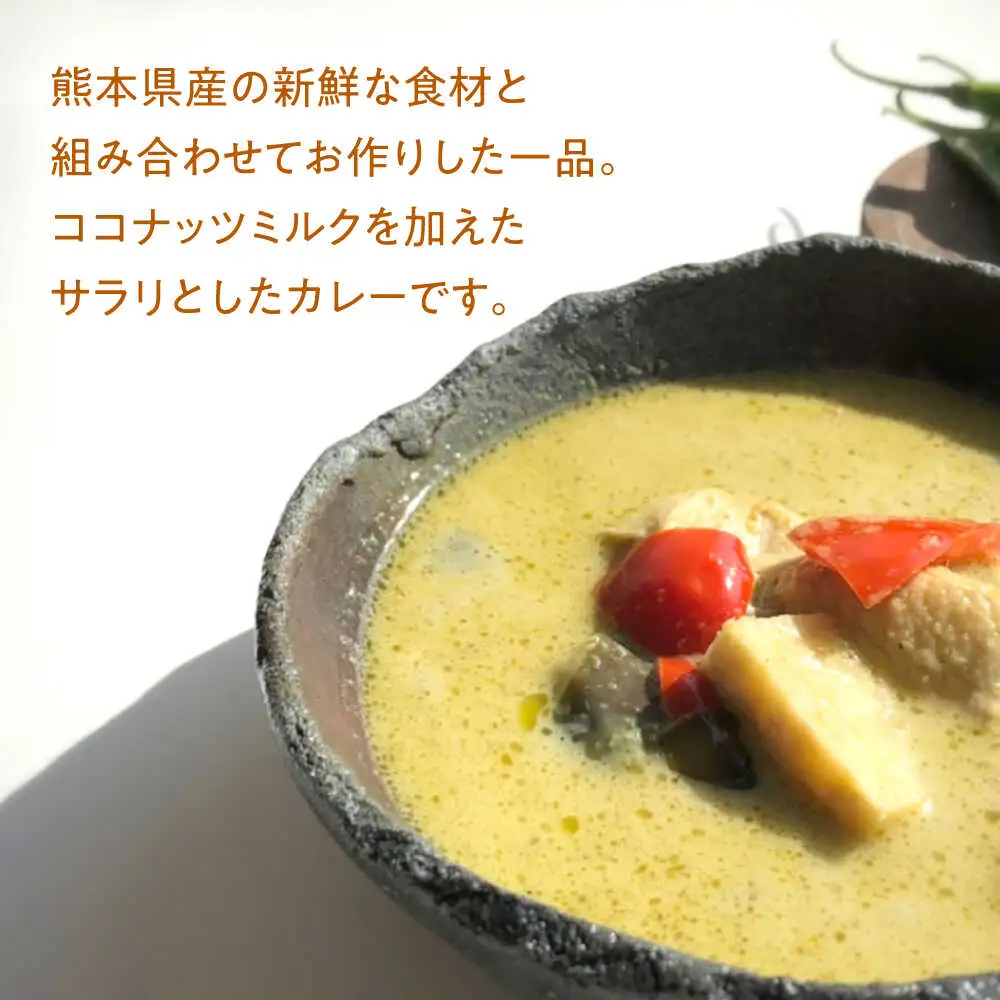 【全12回定期便】グリーンカレー 約180g×5パック 計900ｇセット 【SOUP LAB】[AYAK016]