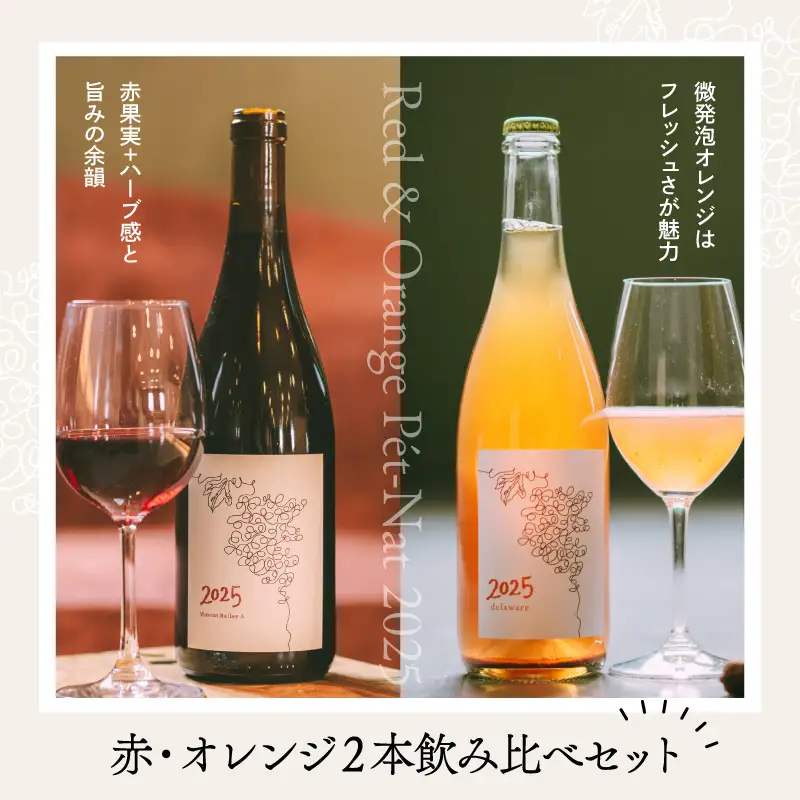 ワイン 2025 赤オレンジ 2本飲み比べセット 各750ml ワイン ka019-316j-2025