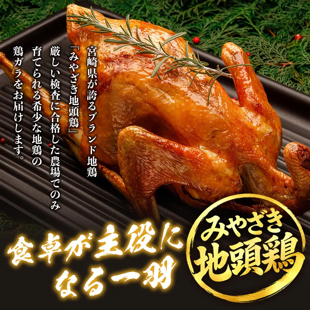 みやざき地頭鶏 1羽 中抜き 丸鶏 セット 冷凍｜鶏肉 地鶏 丸鶏 1羽まるごと ロースト チキン じとっこ 真空パック 興洋開発株式会社 宮崎県 諸塚村 KY-16