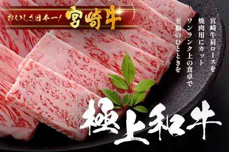 宮崎牛 肩ロース 焼肉 約500g×1P 焼肉用 冷凍｜国産 牛肉 4等級以上 黒毛和牛 肉 お肉 ブランド牛 鉄板焼き 高級 BBQ バーベキュー 焼き肉 株式会社ミヤチク 宮崎県 諸塚村 MY-02