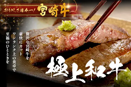 宮崎牛 ロース ステーキ 約500g（2枚入）×2P 計1kg（4枚）冷凍｜国産 牛肉 4等級以上 黒毛和牛 肉 お肉 ブランド牛 鉄板焼き 高級 株式会社ミヤチク 宮崎県 諸塚村 MY-05