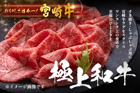 宮崎牛 赤身 スライス 約500g×1P［ウデまたはモモをお届け］すき焼き しゃぶしゃぶ 冷凍｜国産 牛肉 4等級以上 黒毛和牛 肉 お肉 ブランド牛 高級 株式会社ミヤチク 宮崎県 諸塚村 MY-07