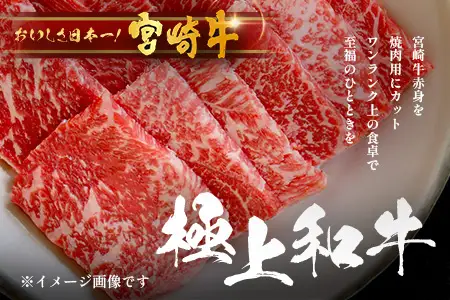 宮崎牛 赤身 焼肉用 約500g×1P［ウデまたはモモをお届け］焼肉 冷凍｜国産 牛肉 4等級以上 黒毛和牛 肉 お肉 ブランド牛 高級 株式会社ミヤチク 宮崎県 諸塚村 MY-08