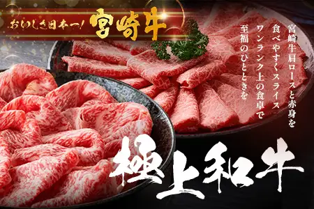 宮崎牛 赤身・霜降り スライス セット計1kg（約500g×2P）［ウデまたはモモをお届け］冷凍｜国産 牛肉 4等級以上 黒毛和牛 肉 お肉 ブランド牛 高級 株式会社ミヤチク 宮崎県 諸塚村 MY-09