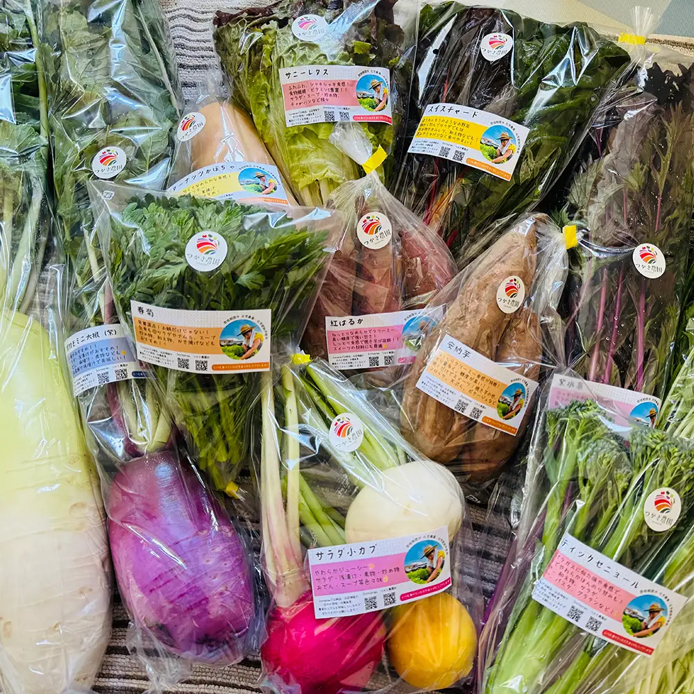 つかさ農園 季節のお野菜詰め合わせ（6～8種） ※北海道・沖縄・離島への配送不可 ※2026年6月中旬～9月下旬頃に順次発送予定