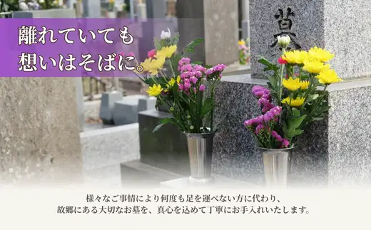 お墓 清掃 代行サービス 選べる回数 6回コース「ふるさとのお墓 心を込めてお掃除します」 掃除 お掃除 代行  栃木県 しもつけ市 下野市